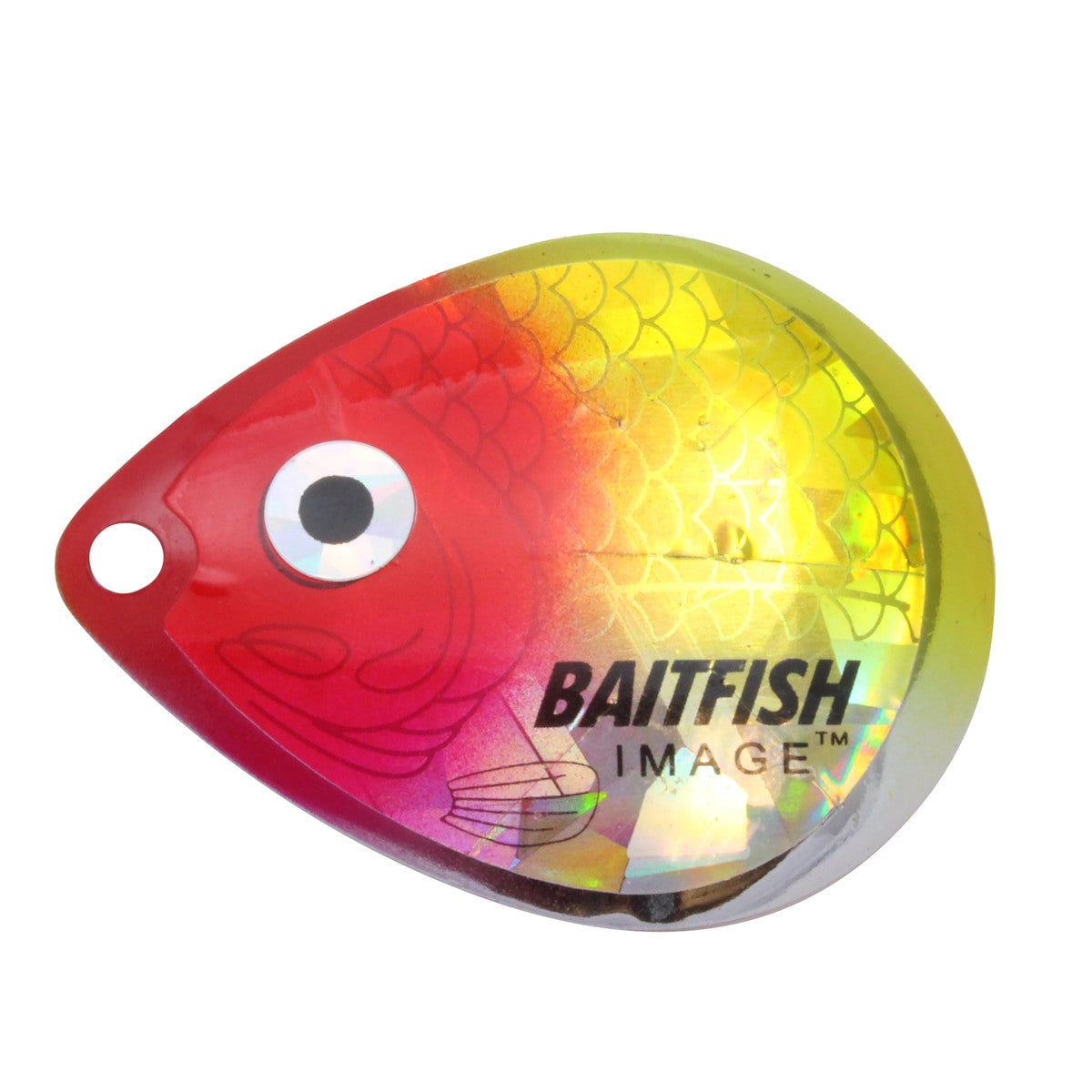 Northland Fishing Tackle Baitfish Image Blades – Dakota Angler