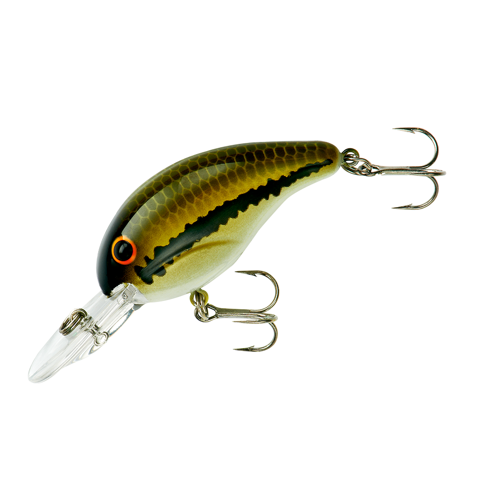 Bandit 300 Series Baby Bass