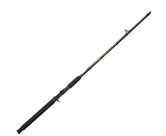 Zebco Big Cat Casting Rod