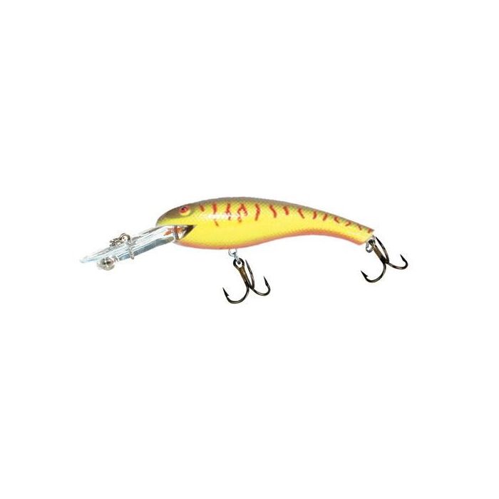 Wally Diver by Cotton Cordell