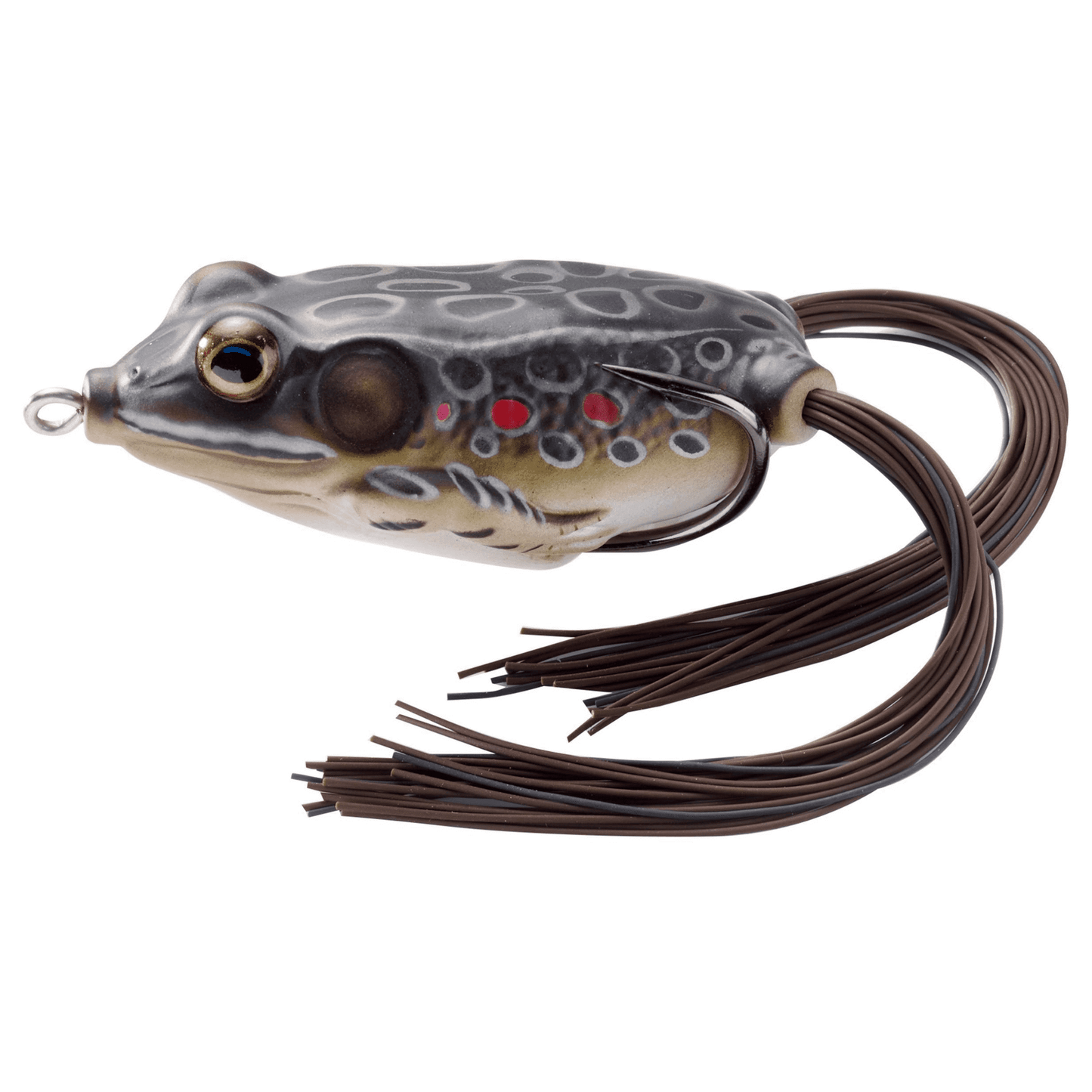 Live Target Hollow-Body Frog