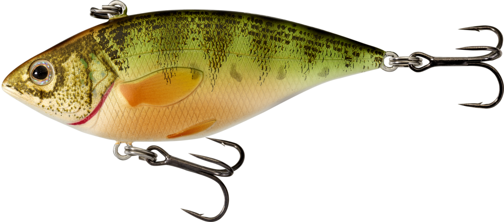 Live Target Yellow Perch Rattlebait