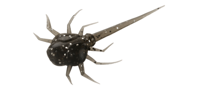 13 Fishing Panfish Plastics