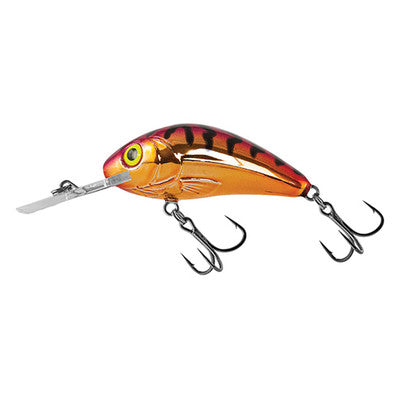 Salmo Rattlin' Hornet 3.5cm Floating Fishing Lure – Plug Bait For Trout And Panfish