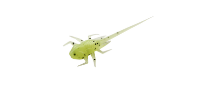 13 Fishing Panfish Plastics