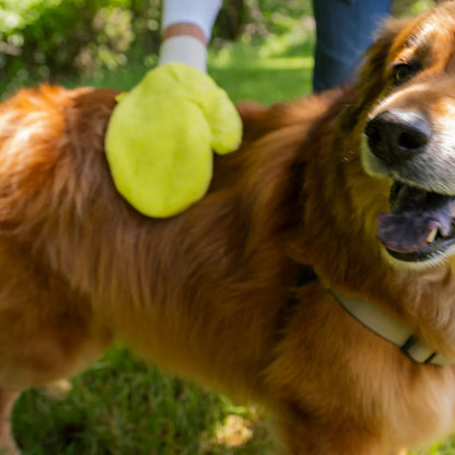 TiCK MiTT - Tick Removal Glove
