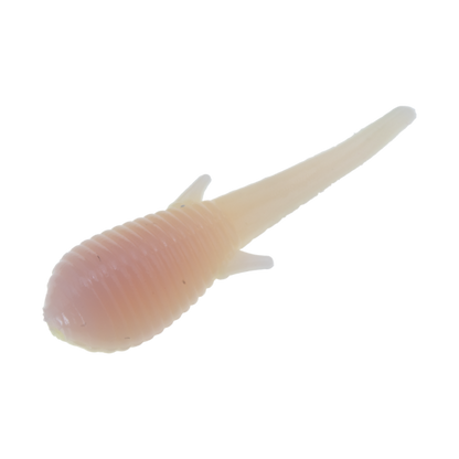 Clam Niku Plastics Soldier Fly