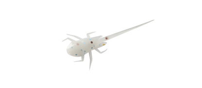 13 Fishing Panfish Plastics