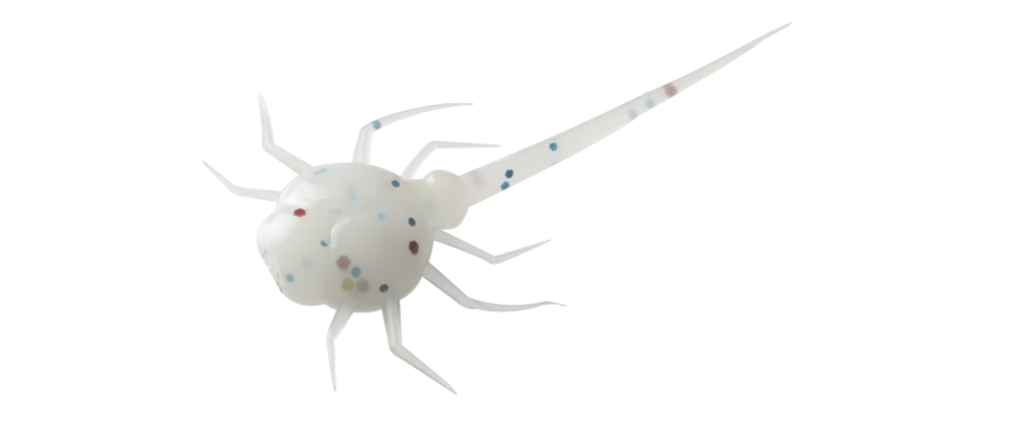 13 Fishing Panfish Plastics