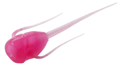 13 Fishing Panfish Plastics