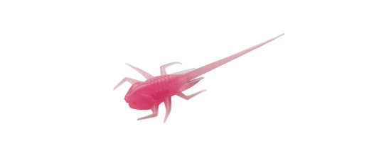 13 Fishing Panfish Plastics