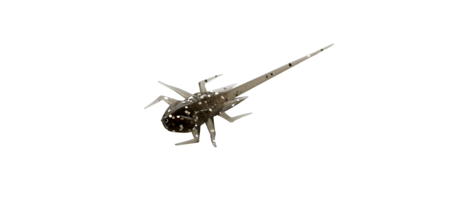 13 Fishing Panfish Plastics