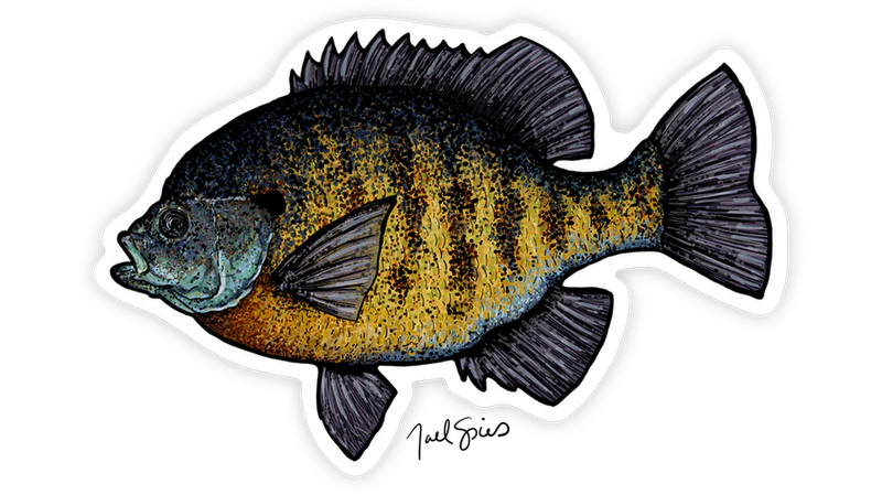 BruleBay Fish Decals