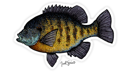 BruleBay Fish Decals