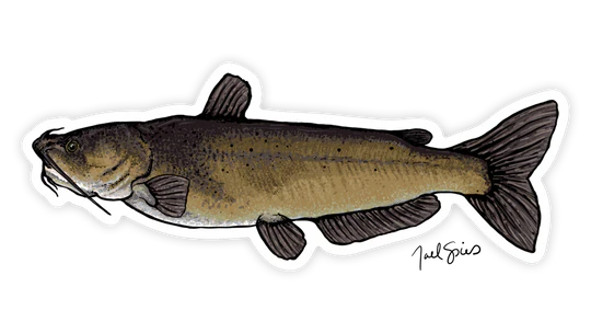 BruleBay Fish Decals