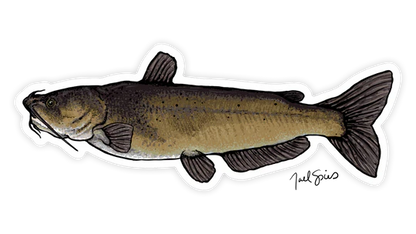 BruleBay Fish Decals