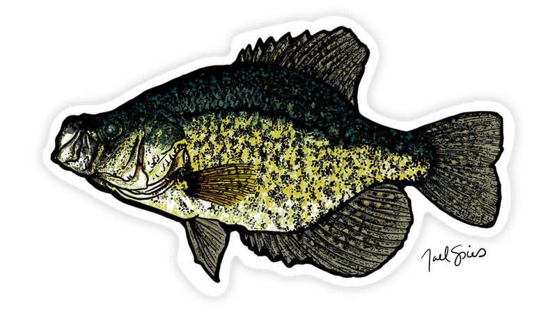 BruleBay Fish Decals