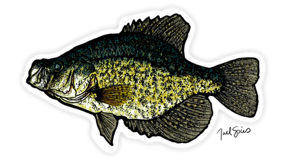 BruleBay Fish Decals