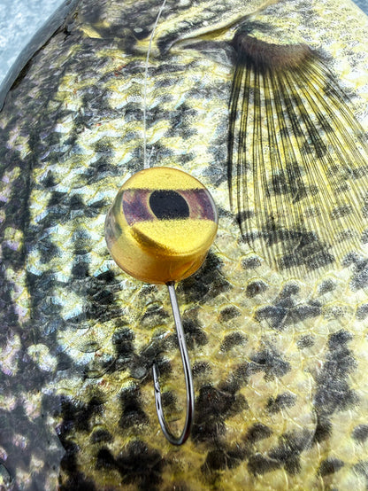Fish Daddy Dirty Bomb Live Wire
