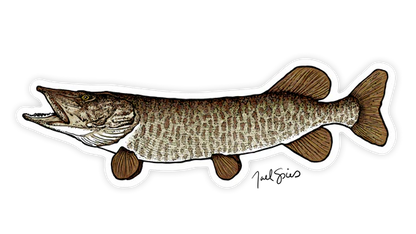 BruleBay Fish Decals