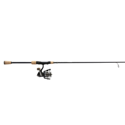 Plueger President XT Spinning Combo