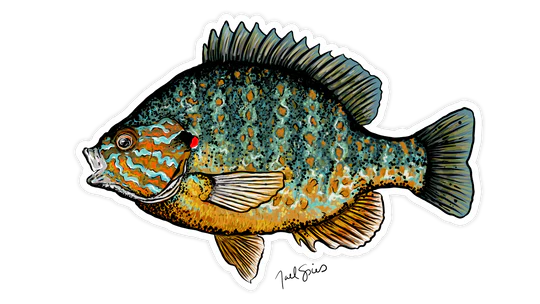 BruleBay Fish Decals