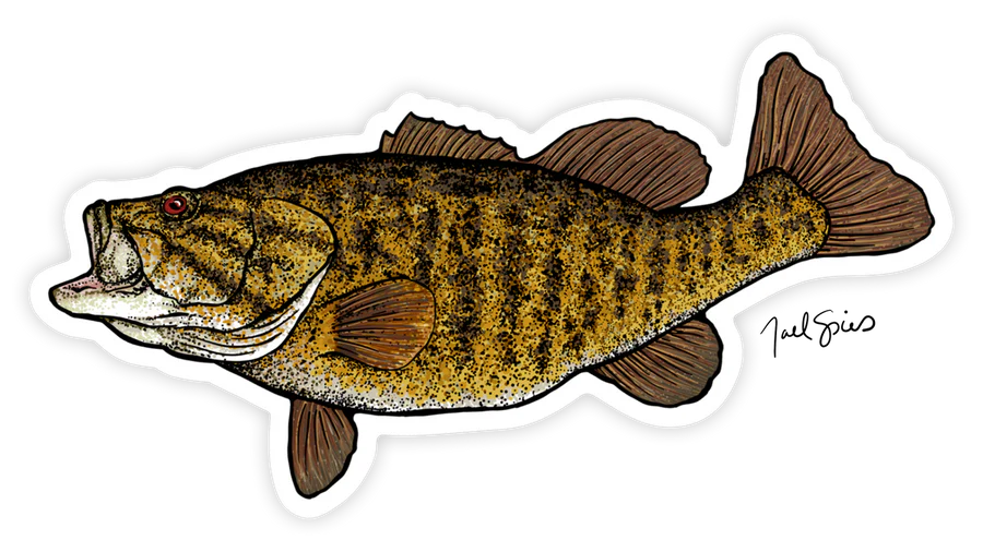 BruleBay Fish Decals