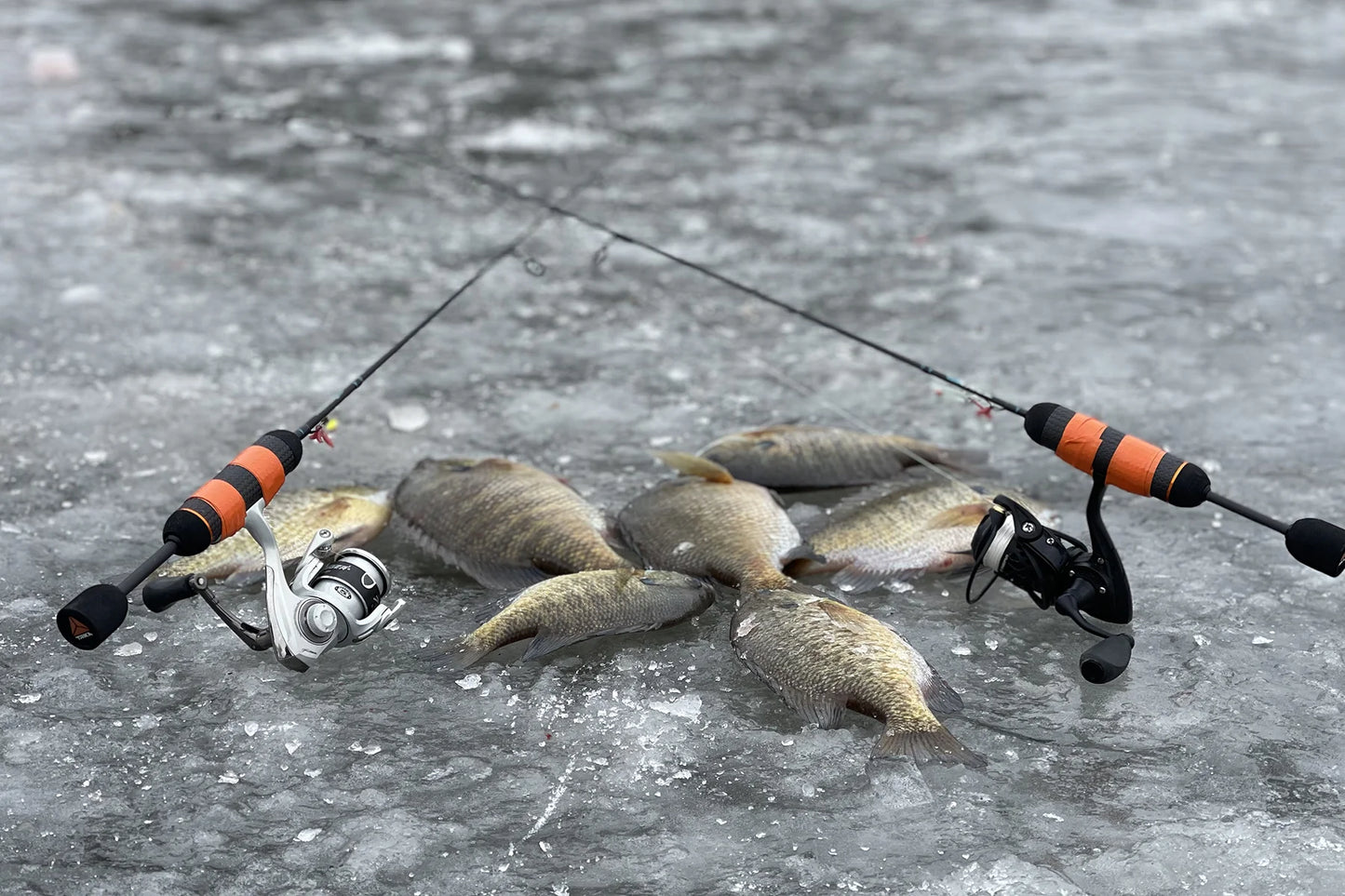 Trika Ice Rods