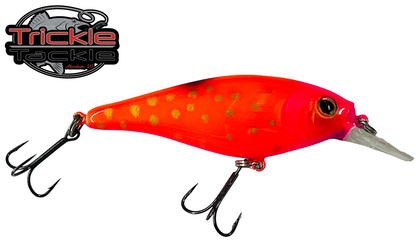 Berkley Flicker Shad Shallow #7 Custom Trickle Tackle