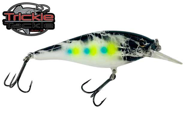 Berkley Flicker Shad Shallow #7 Custom Trickle Tackle
