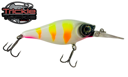 Walleye Nation Creations Shaky Shad