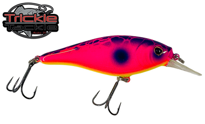 Berkley Flicker Shad Shallow #7 Custom Trickle Tackle