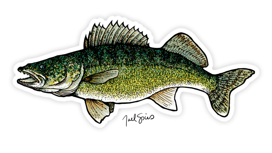 BruleBay Fish Decals