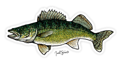BruleBay Fish Decals
