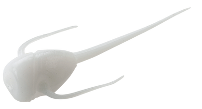 13 Fishing Panfish Plastics