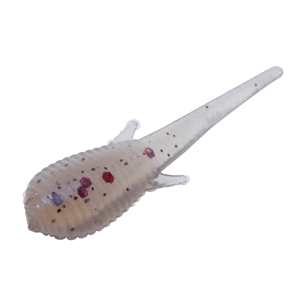 Clam Niku Plastics Soldier Fly