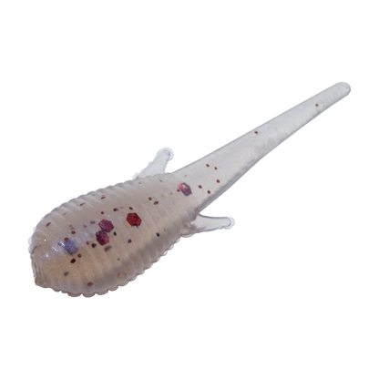 Clam Niku Plastics Soldier Fly