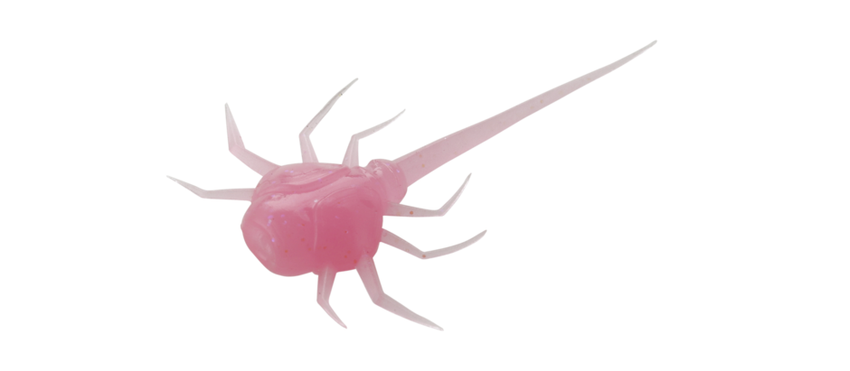 13 Fishing Panfish Plastics