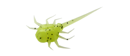 13 Fishing Panfish Plastics