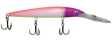Rapala Deep Down Husky Jerk - Warrior Customs