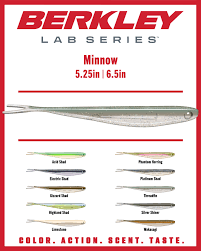 Berkley Lab Series