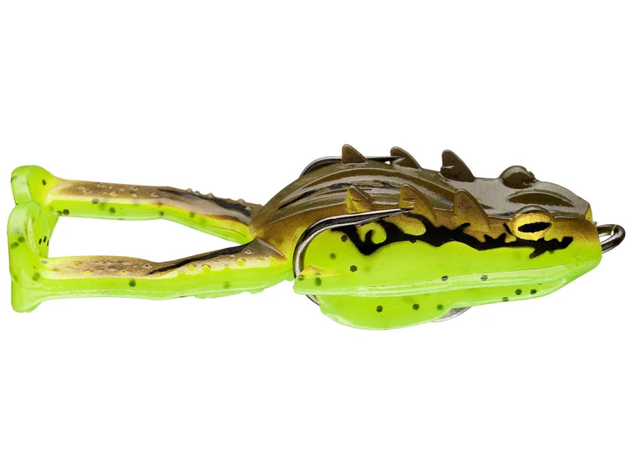 Storm Surge Frog