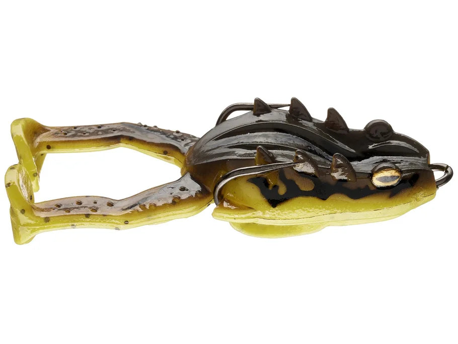 Storm Surge Frog