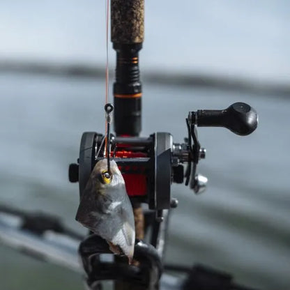 Whisker Seeker Baitcast Reels