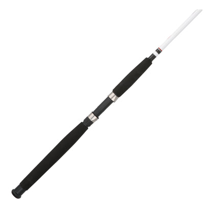 Berkley Big Game Rod