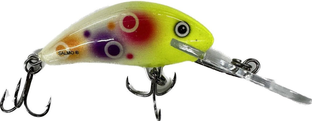 Salmo Hornet H2S HP : : Sports & Outdoors