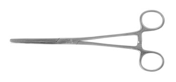 Stainless Steel Forceps