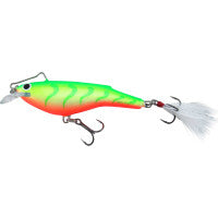 Salmo Rail Shad