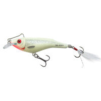 Salmo Rail Shad