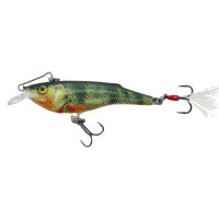 Salmo Rail Shad